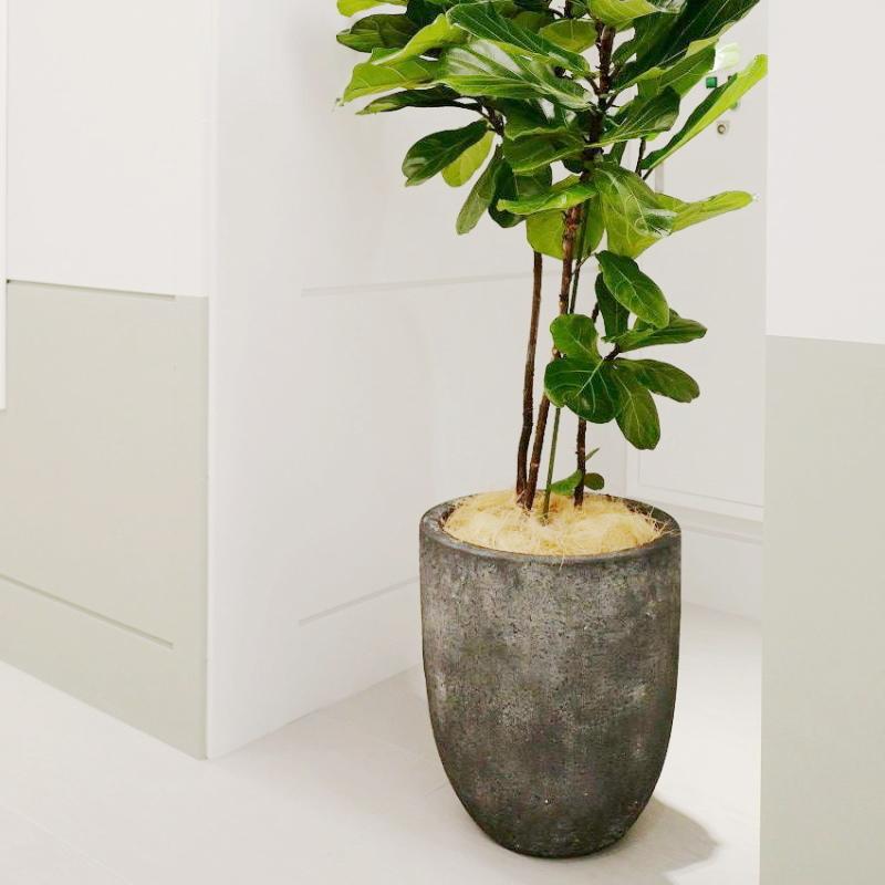 植木鉢 おしゃれ セメント フォリオアルトエッグS (2色) 31cm 10号 穴