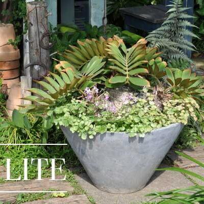 植木鉢 おしゃれ 大型 プラスチック 軽い LLシンプルコーン深2L FRP 60cm 20号 プランター 鉢 室内 屋外 鉢植え 観葉植物 塊根 大型 FRP