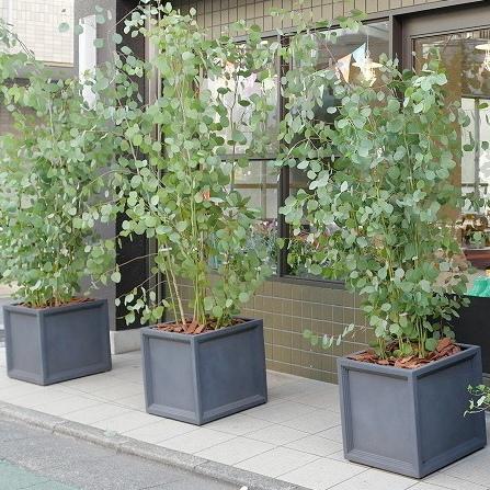 植木鉢 おしゃれ 大型 プラスチック 軽い LLキューブL FRP 56cm 穴あり