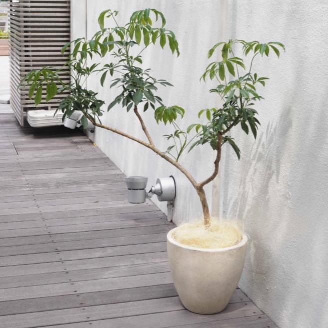 植木鉢 おしゃれ セメント フォリオエッグM 23cm 8号 穴あり 丸