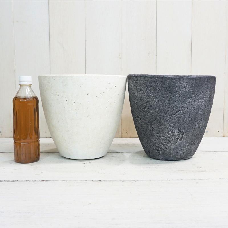 シンプルなコンクリート鉢の盆栽 シンプルなコンクリート鉢の盆栽 tiny セメントポット 植木鉢