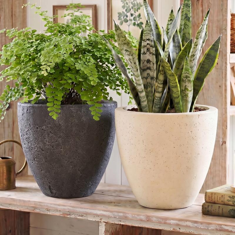 植木鉢 おしゃれ セメント フォリオエッグL 30cm 10号 穴あり