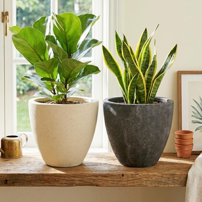 植木鉢 おしゃれ セメント フォリオエッグL 30cm 10号 穴あり