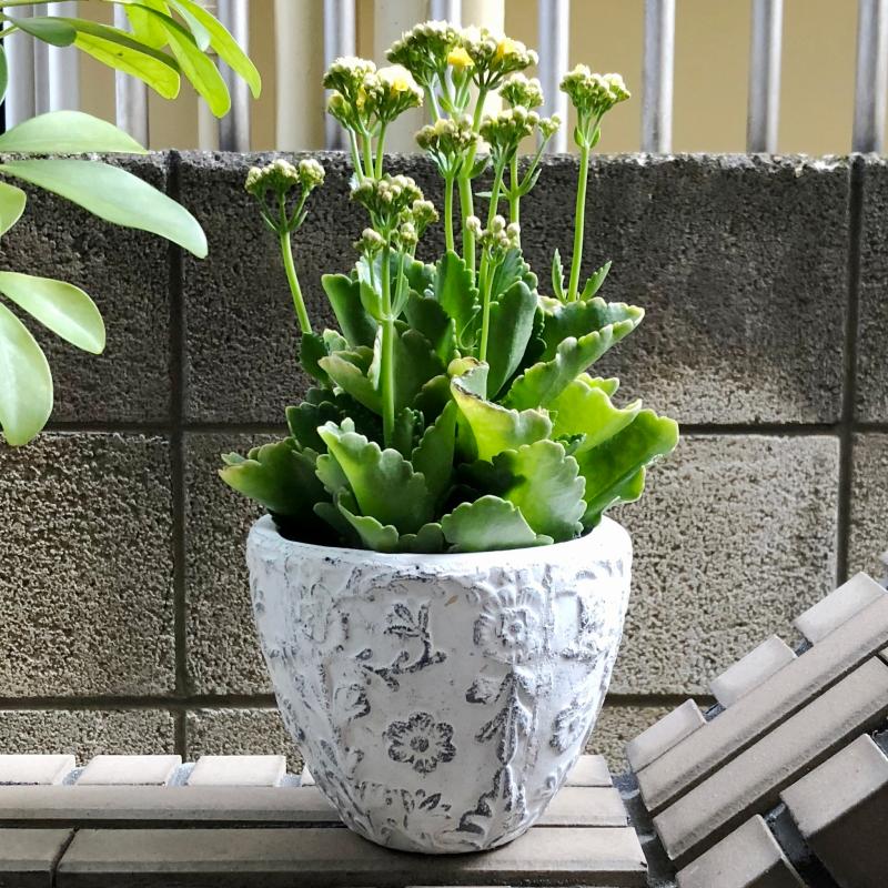 植木鉢 おしゃれ アンティーク 陶器鉢 ダイナスティポットS＜ 外径15cm