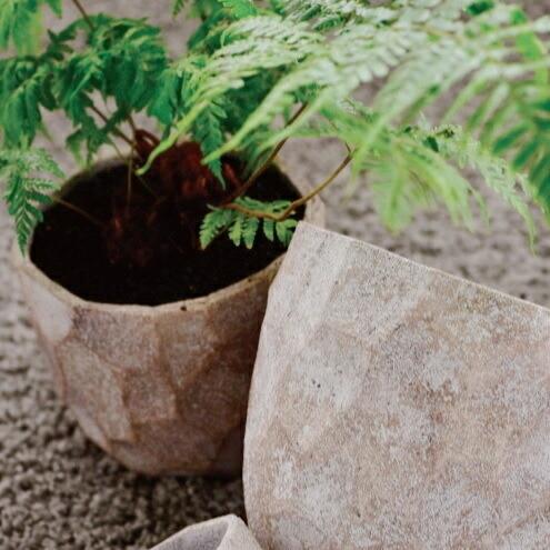 鉢 コンクリート おしゃれ アンシャルS 20cm 穴あり 植木鉢 セメント