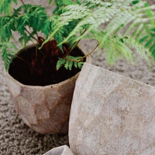 鉢 コンクリート おしゃれ アンシャルSS 12cm 穴あり 植木鉢 セメント