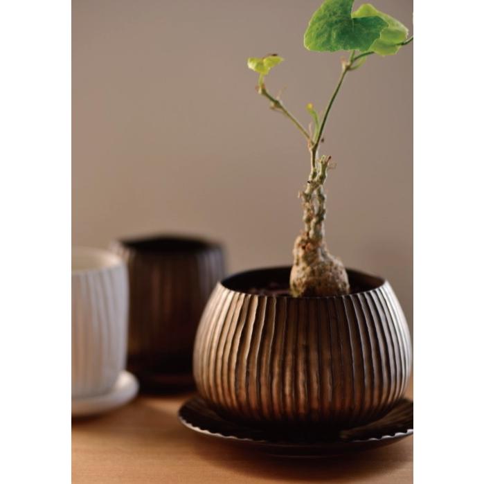 植木鉢 おしゃれ 陶器鉢 ラピスボウル(2色) 10.5cm 3.5号 穴あり