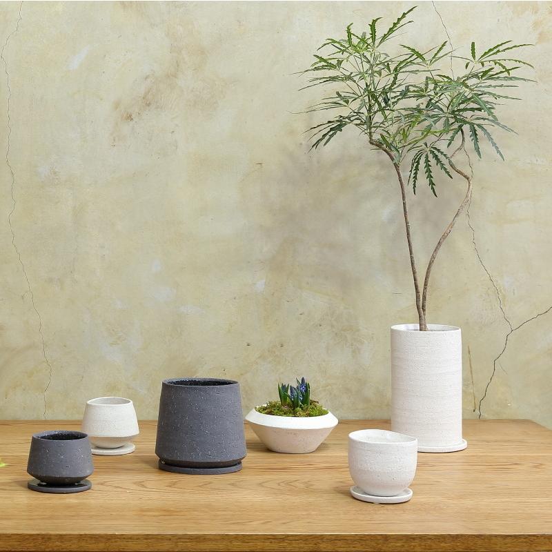 植木鉢 おしゃれ 陶器鉢 イオニアトールL 12cm 4号 穴あり 受け皿付