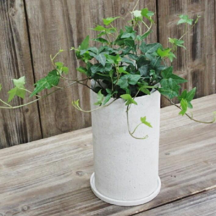 植木鉢 おしゃれ 陶器鉢 イオニアトールL 12cm 4号 穴あり 受け皿付