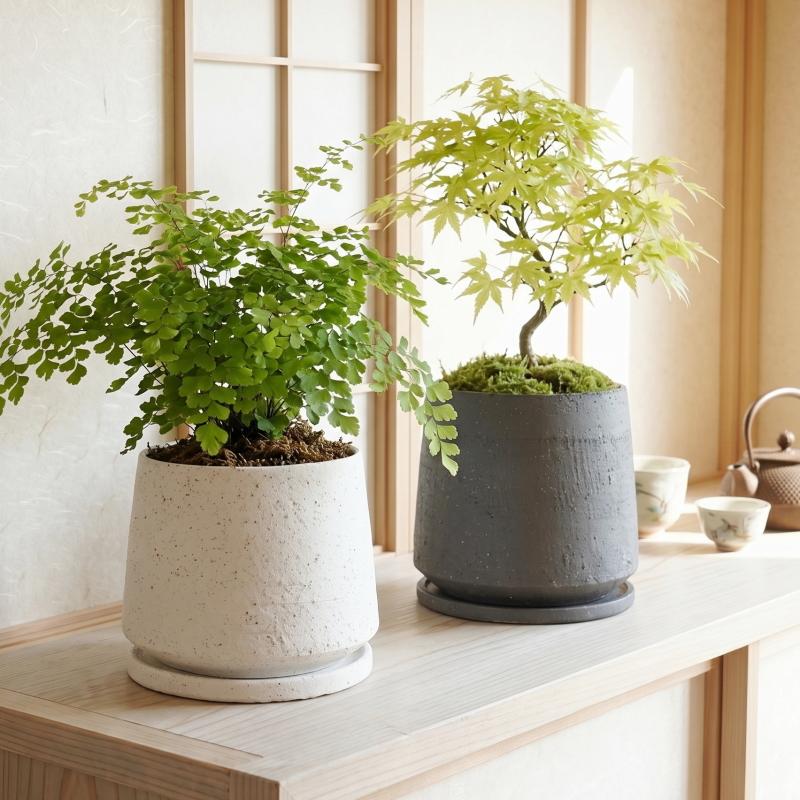 植木鉢 おしゃれ 陶器鉢 イオニアアンフレL (2色) 17cm 5.5号 穴あり