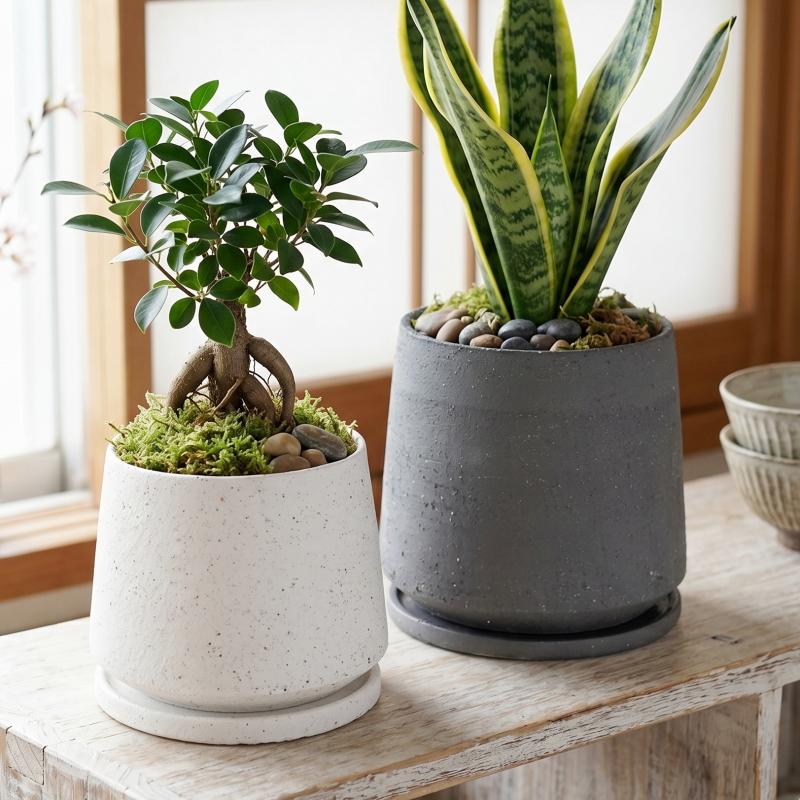 植木鉢 おしゃれ 陶器鉢 イオニアアンフレL (2色) 17cm 5.5号 穴あり