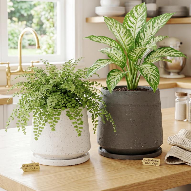 植木鉢 おしゃれ 陶器鉢 イオニアアンフレL (2色) 17cm 5.5号 穴あり