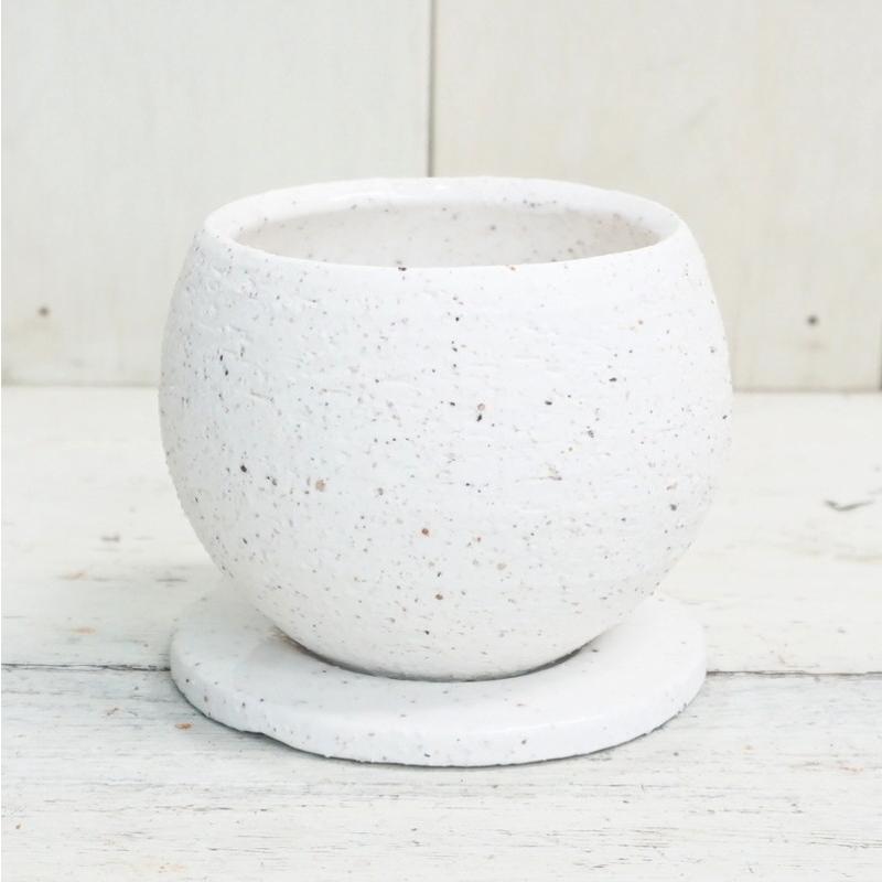 植木鉢 おしゃれ 陶器鉢 イオニアボウルL (B/W) 14cm 4.5号 穴あり 皿