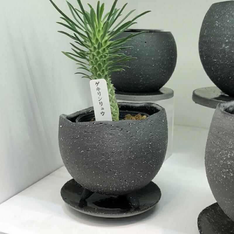イムサエム 手付き鉢 鉢 ボウル 器 現代作家 A 植木鉢 おしゃれ 陶器鉢 イオニアボウル足付L (B/W) 12cm 4号 穴あり