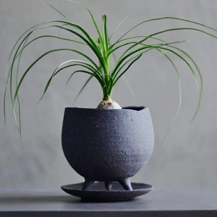 0813 植木鉢 陶器 入れ物 154076341_o12.jpg?