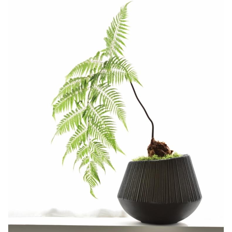 植木鉢 おしゃれ セメント エディラウンドS (Bk/Gy) 22cm 7号 底
