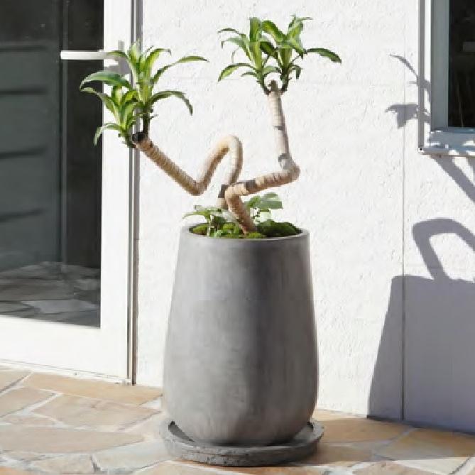 植木鉢 おしゃれ 大型 セメント セドナポットL 55cm 18号 底穴あり 背