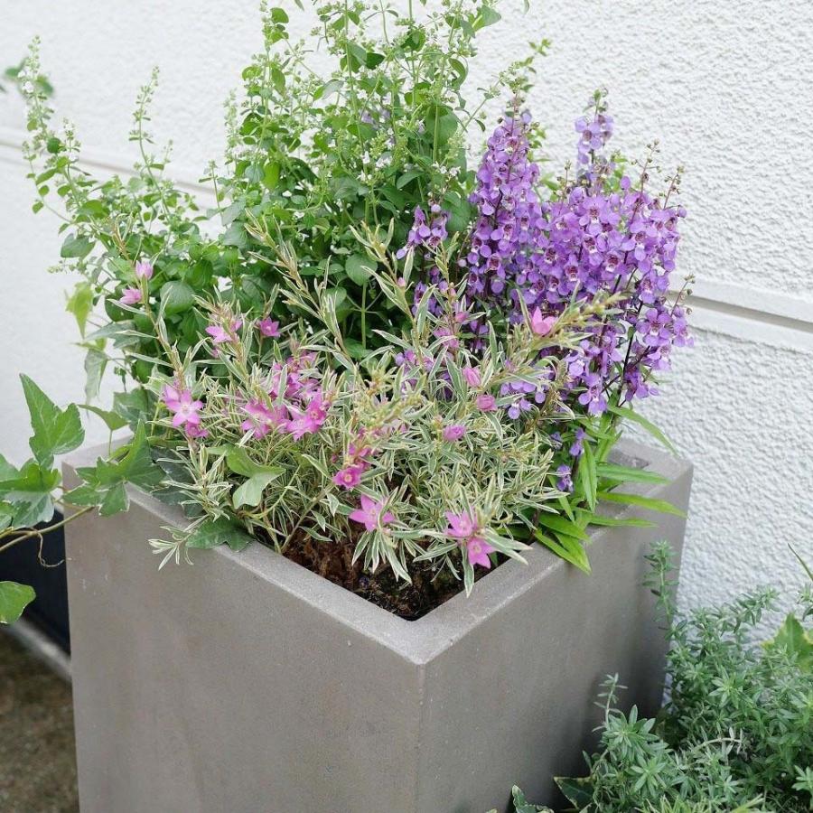 植木鉢 おしゃれ セメント セドナロング S 23.5cm 8号 底穴あり 植木鉢 おしゃれ セメント セドナロング S 23.5cm 8号 底穴あり