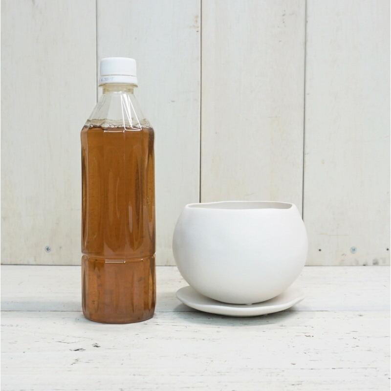 植木鉢 おしゃれ 陶器鉢 マリナM (2色) 12cm 4号 底穴あり 皿付 ツヤ