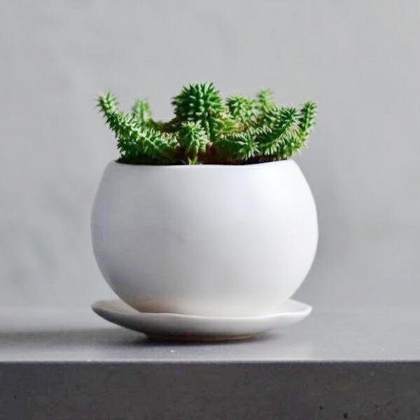 植木鉢 おしゃれ 陶器鉢 マリナM (2色) 12cm 4号 底穴あり 皿付 ツヤ