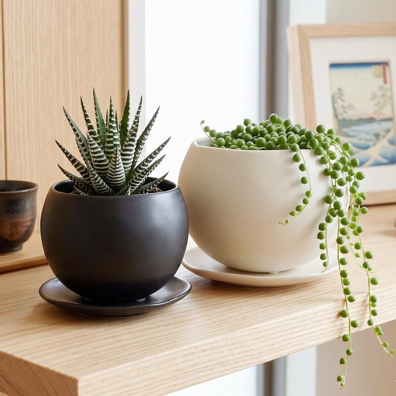 植木鉢 おしゃれ 陶器鉢 マリナM (2色) 12cm 4号 底穴あり 皿付 ツヤ