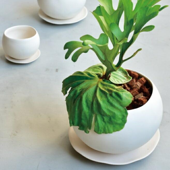 植木鉢 おしゃれ 陶器鉢 マリナM (2色) 12cm 4号 底穴あり 皿付 ツヤ