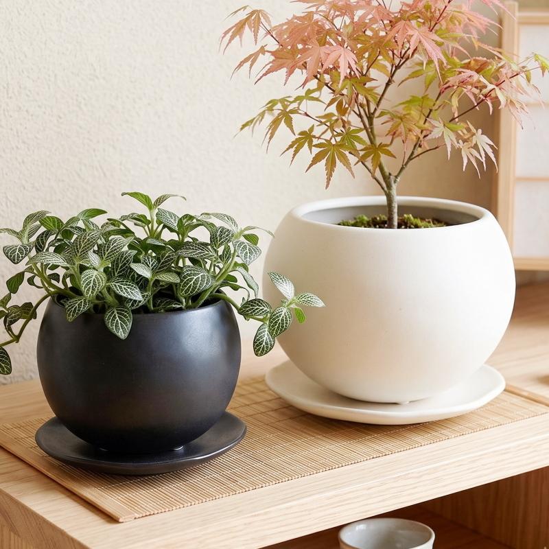植木鉢 おしゃれ 陶器鉢 マリナM (2色) 12cm 4号 底穴あり 皿付 ツヤ