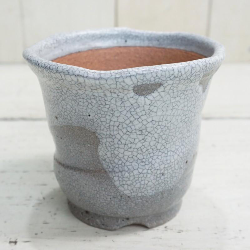 未使用品　信楽焼き　大きな　ダックスフント　器　陶器　プランター　鉢　釉薬 植木鉢 おしゃれ 和風 信楽焼 白マットウチョウラン鉢(SA120-03) 9.5cm
