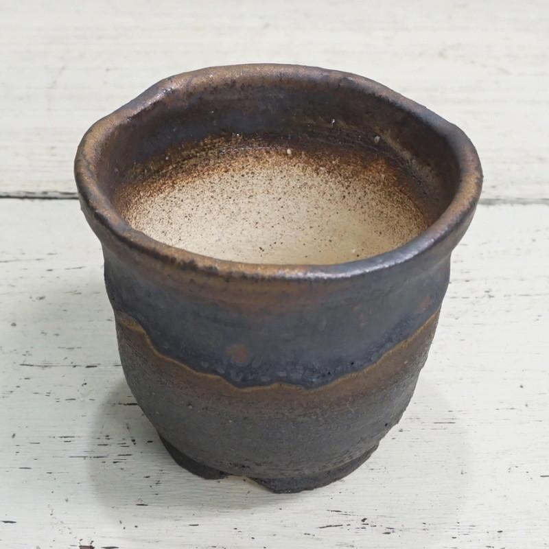 植木鉢 おしゃれ 和風 信楽焼 金彩中深 L 10cm 3号 穴あり 湯飲み