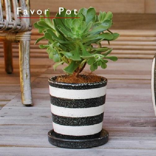 植木鉢 おしゃれ 陶器鉢 フェイバーポット 14cm 5号 13cm 4号 穴