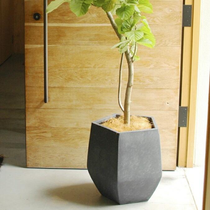 植木鉢 おしゃれ ペンタゴン S 41cm 14号 底穴あり ファイバークレイ 軽い プランター 鉢 室内 屋外 鉢植え 観葉植物 多肉植物 塊根 Stm F9801 おしゃれな植木鉢 プランター専門店アールデ 通販 Yahoo ショッピング