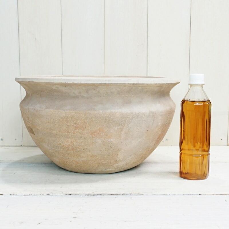 浅型テラコッタ 大きめ 丸鉢 ガーデニング 寄せ植え 植木鉢 庭Vlog】大きなテラコッタ鉢に冬の花を植えてみる - YouTube