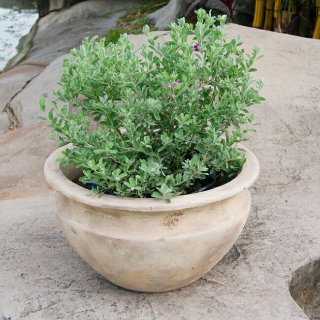 植木鉢 おしゃれ テラコッタ テラアストラベガローM 39cm 13号 底穴