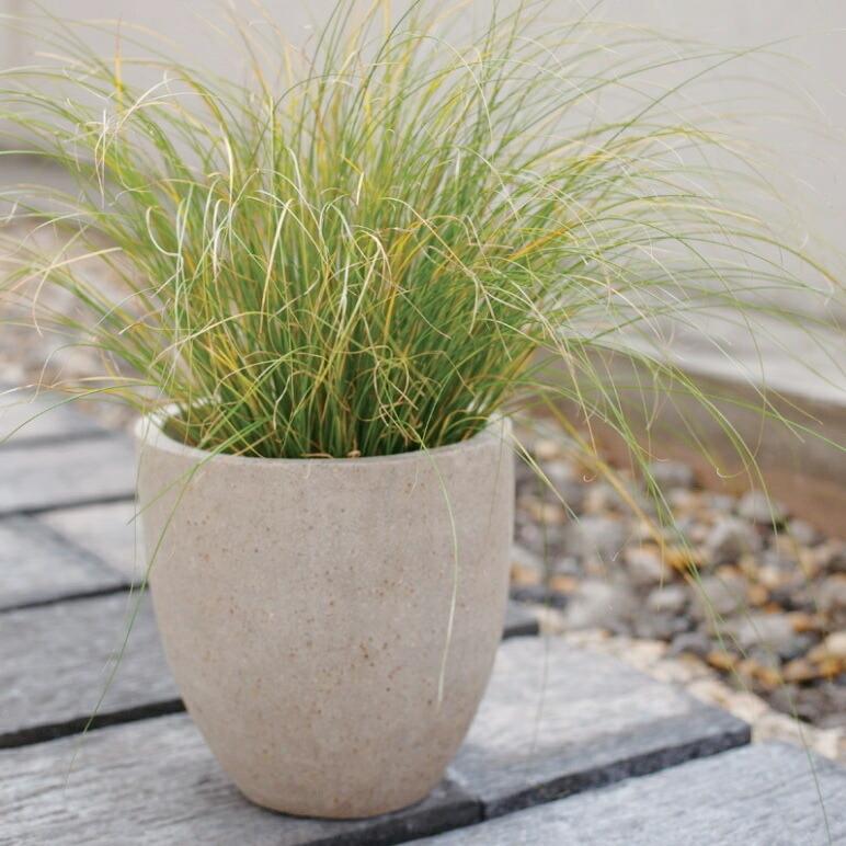 植木鉢 おしゃれ セメント コーテスラウンドM (2色) 40cm 13号 穴あり プランター 鉢 室内 屋外 鉢植え 観葉植物 多肉植物 塊根