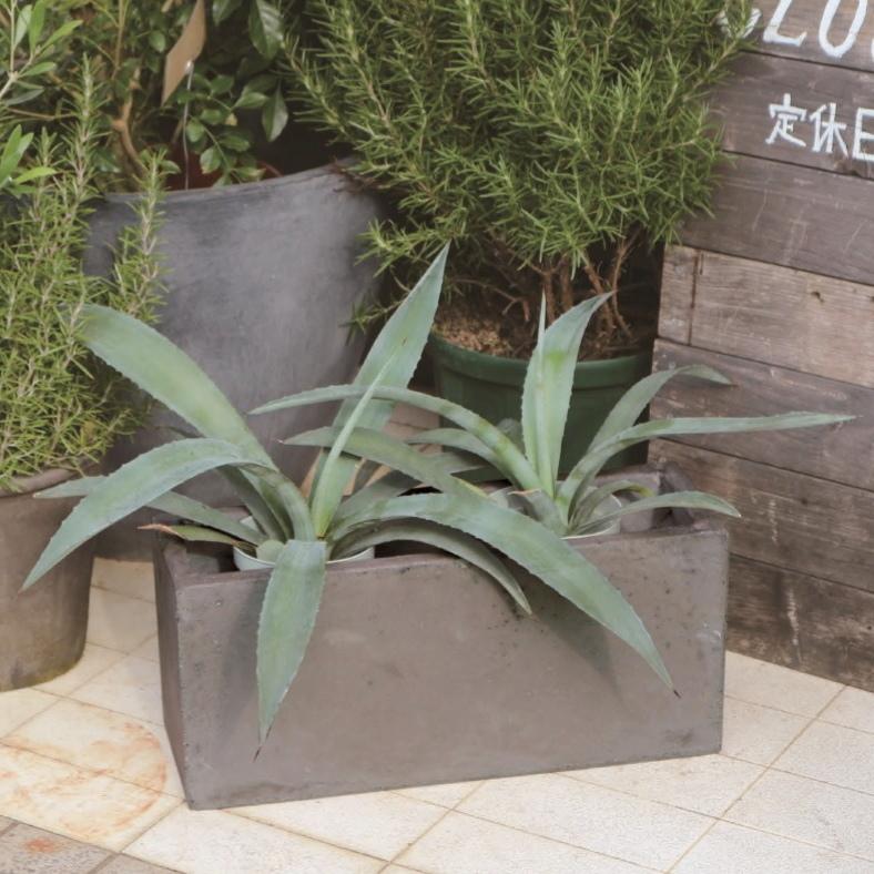 植木鉢 おしゃれ セメント CC05 S 45cm x 15cm 底穴あり 長方形 横長