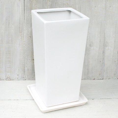 高さは、30cm陶器 楽天市場】陶器鉢 植木鉢 ホワイトポット横長型 大 幅30cm×高さ