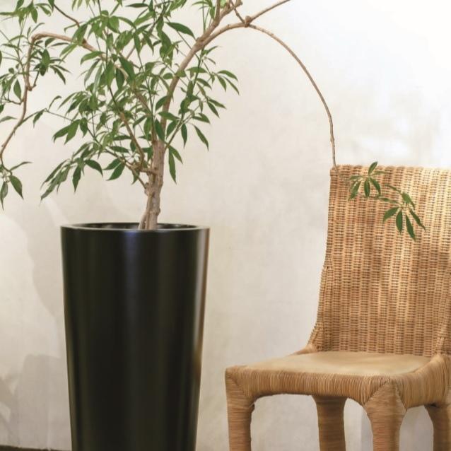 植木鉢 おしゃれ 陶器鉢 トールラウンド L(2色) 30cm 10号 穴あり 