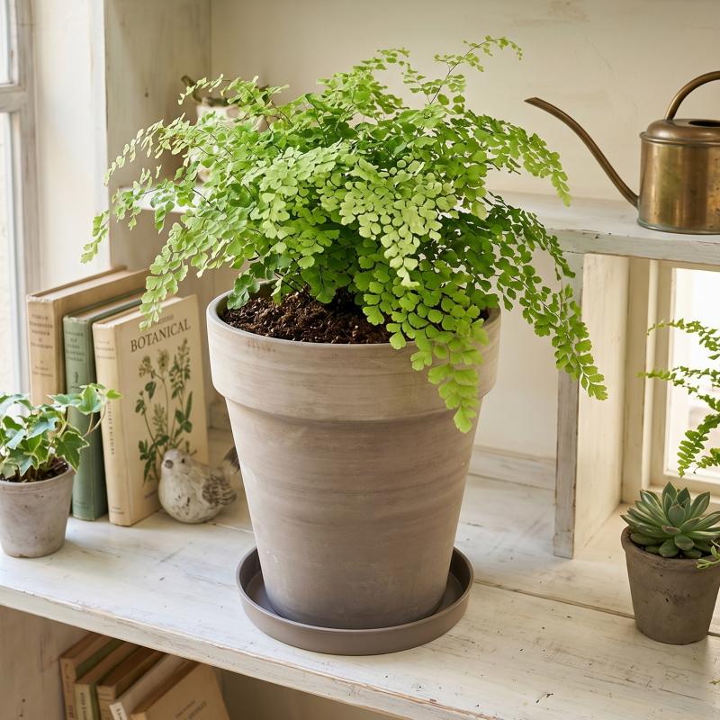 植木鉢 おしゃれ MGアルト S 22cm 7号 底穴あり 背の高い 縦長