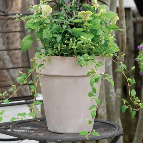 植木鉢 おしゃれ MGアルト M 26cm 9号 底穴あり 背の高い 縦長