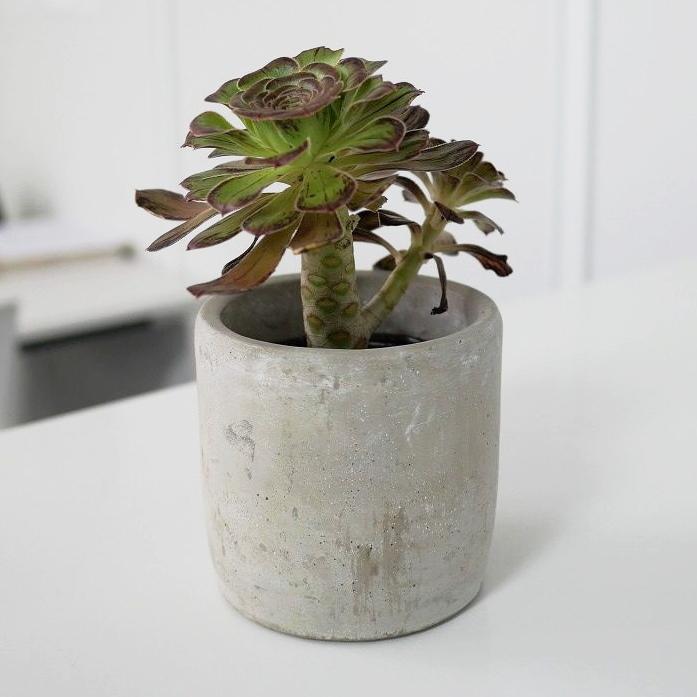 植木鉢 おしゃれ セメント コンクリシリンダー SS 9cm 3号 穴あり