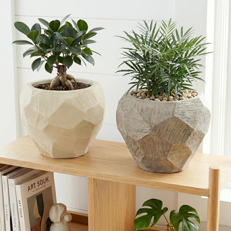 植木鉢 おしゃれ ファセットサークルS(2色) 最大外径25cm 8号(5.5号用