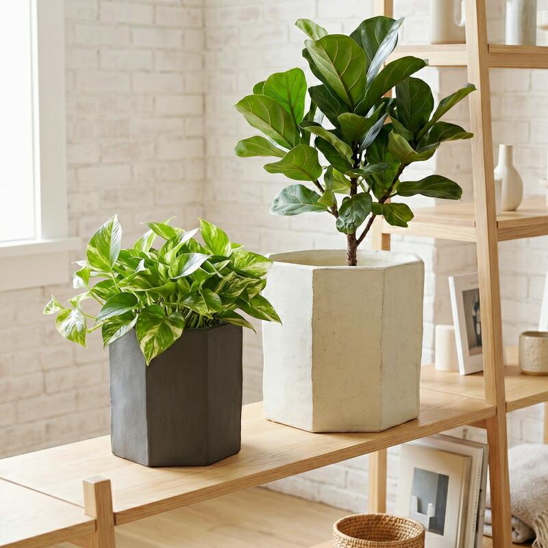 植木鉢 おしゃれ オクトゴーヌポットS(2色) 外寸22cm 7号(6号用) 白 黒