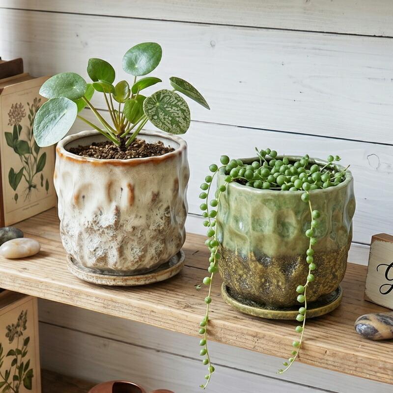 ブタ植木鉢 丸葉観葉植物 室内インテリア 植木鉢 おしゃれ 陶器鉢 エマールレリーフポットS (2色) 外径11.5cm