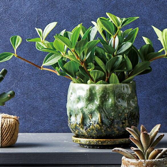植木鉢 おしゃれ 陶器鉢 エマールレリーフポットM (2色) 外径14.5cm