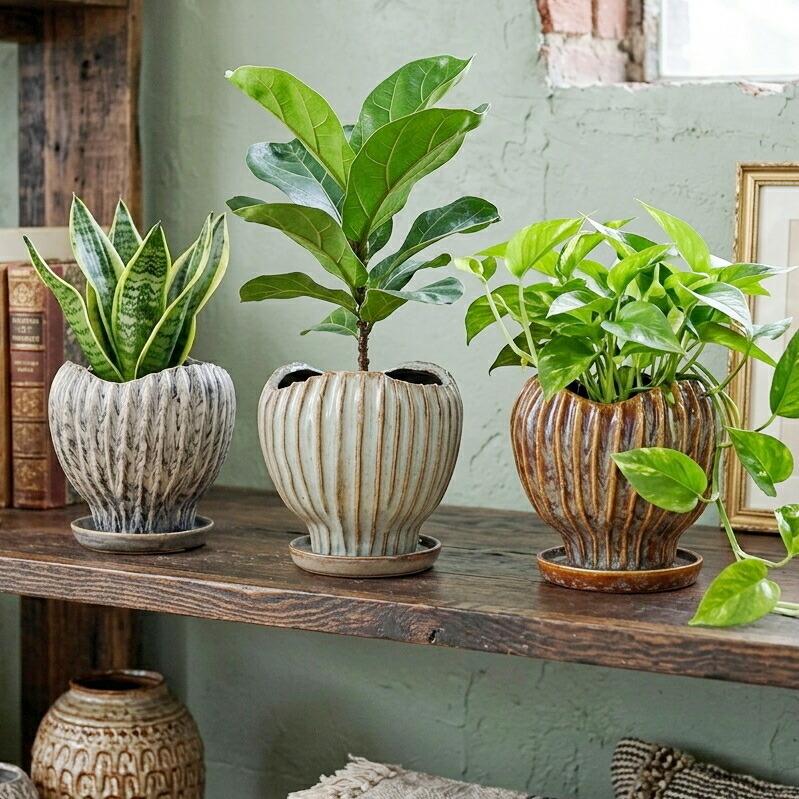 植物2点　陶器鉢2点 植木鉢 おしゃれ 陶器鉢 ポリバーティカルポットL (2色) 胴部最大外径