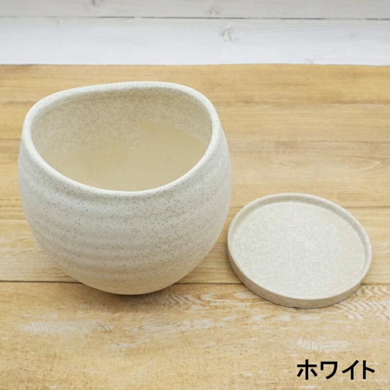 植木鉢 おしゃれ 陶器鉢 クルブボウルポットL (2色) 胴部最大外径20.5