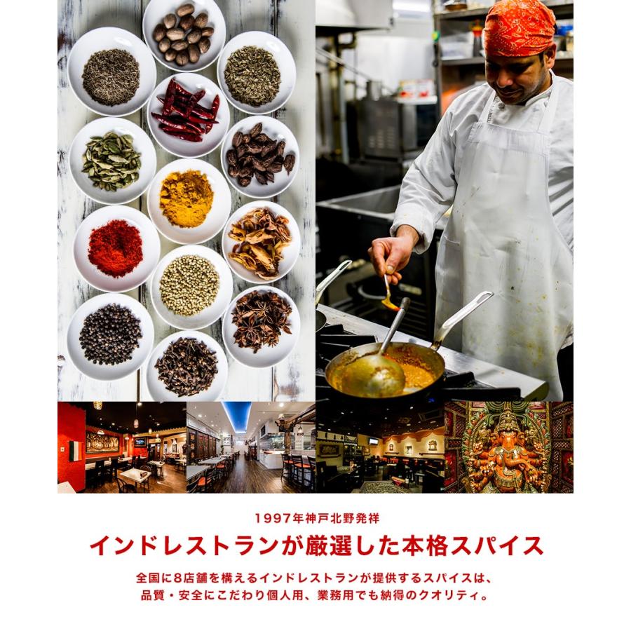 オリジナル ガラムマサラ 400g スパイス ゆうパケット送料無料｜aarti-japan｜06