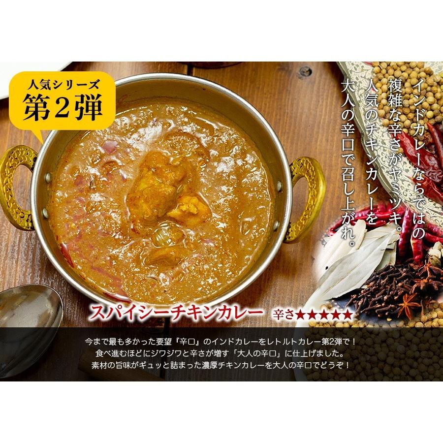 カレー 選べる 3食セット レトルトカレー インドカレー 神戸アールティー 送料無料｜aarti-japan｜17