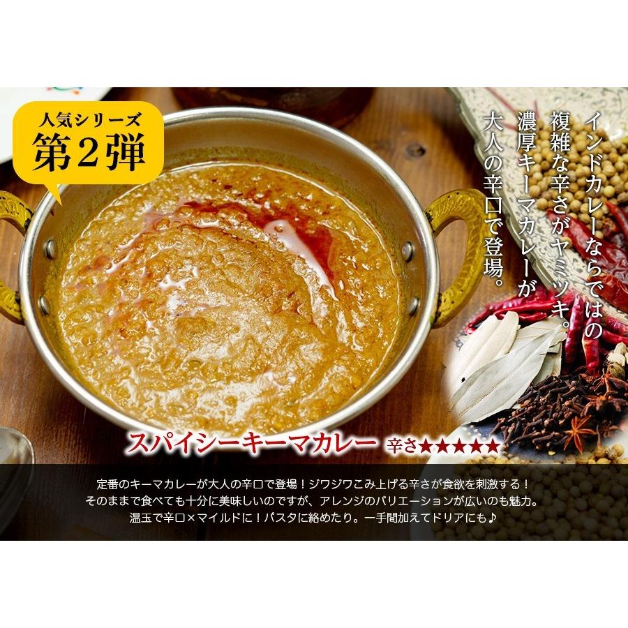 カレー 選べる 3食セット レトルトカレー インドカレー 神戸アールティー 送料無料｜aarti-japan｜18