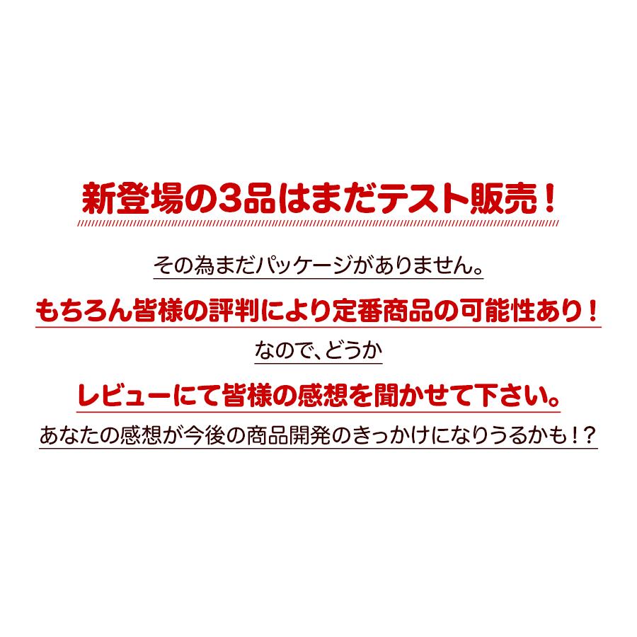 カレー 選べる 3食セット レトルトカレー インドカレー 神戸アールティー 送料無料｜aarti-japan｜06